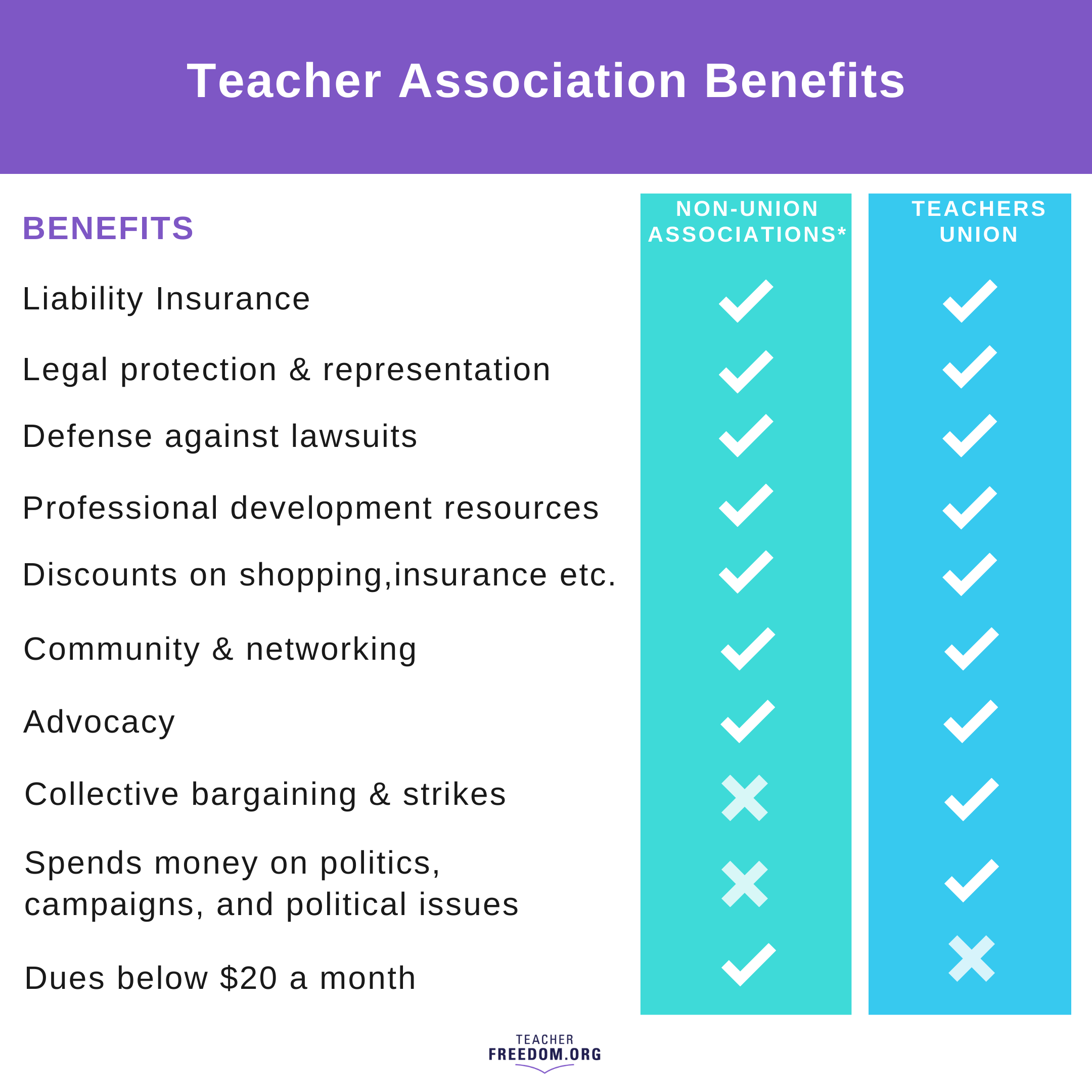 Teaching Benefits: Is the Teachers Union Your Only Option 